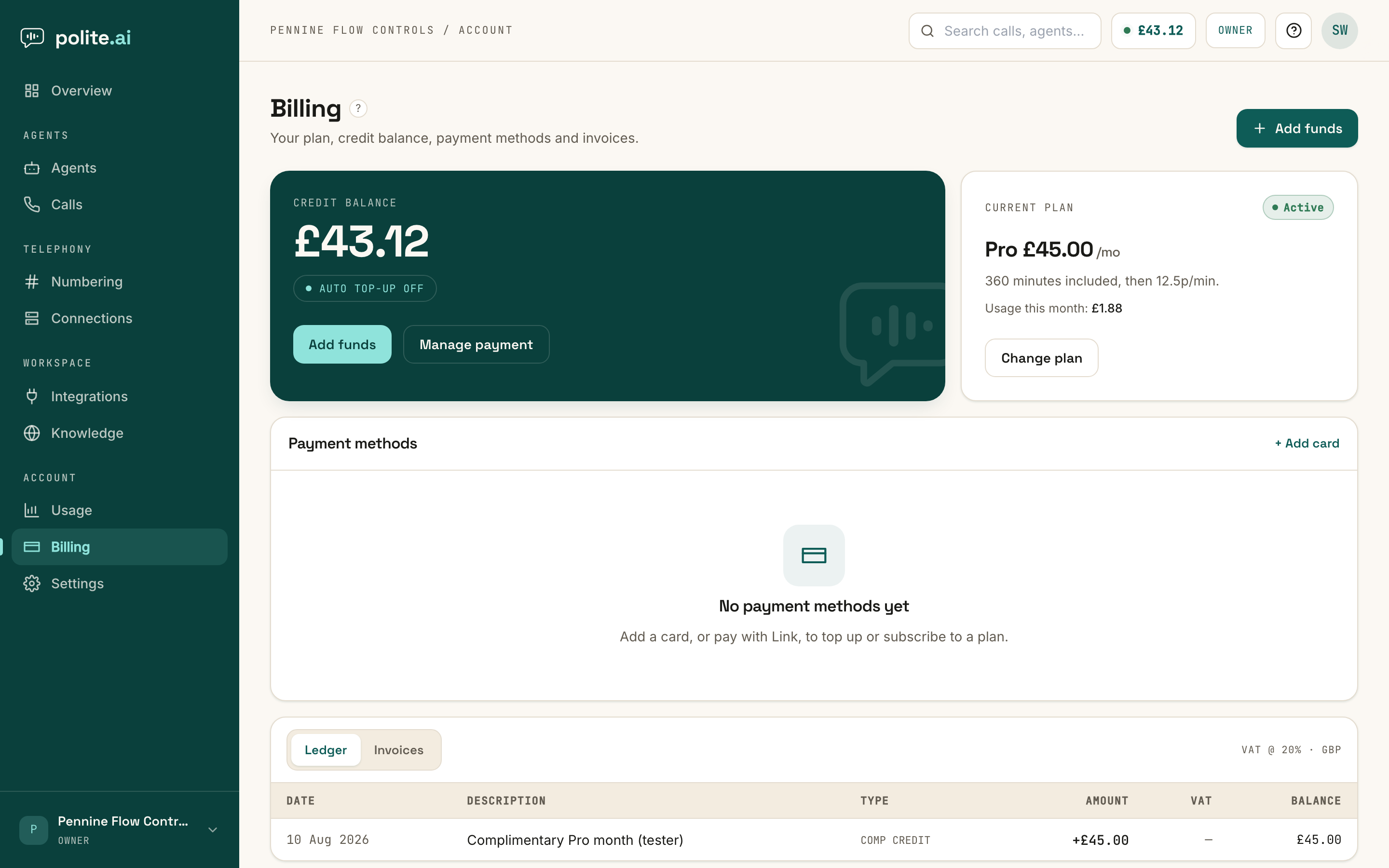 The Billing page: the credit balance card with Add funds and Manage payment, the current plan card showing Pro with usage this month, payment methods, and the ledger